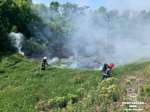 Добровільна пожежно рятувальна команда Покровська ліквідувала займання в екосистемі